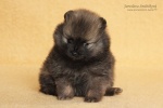 stripek_snu_happy_5weeks_IMG_1580_750.jpg